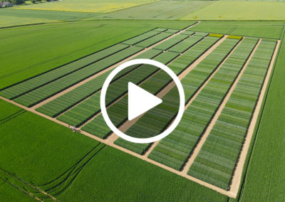 Agricampus 2021