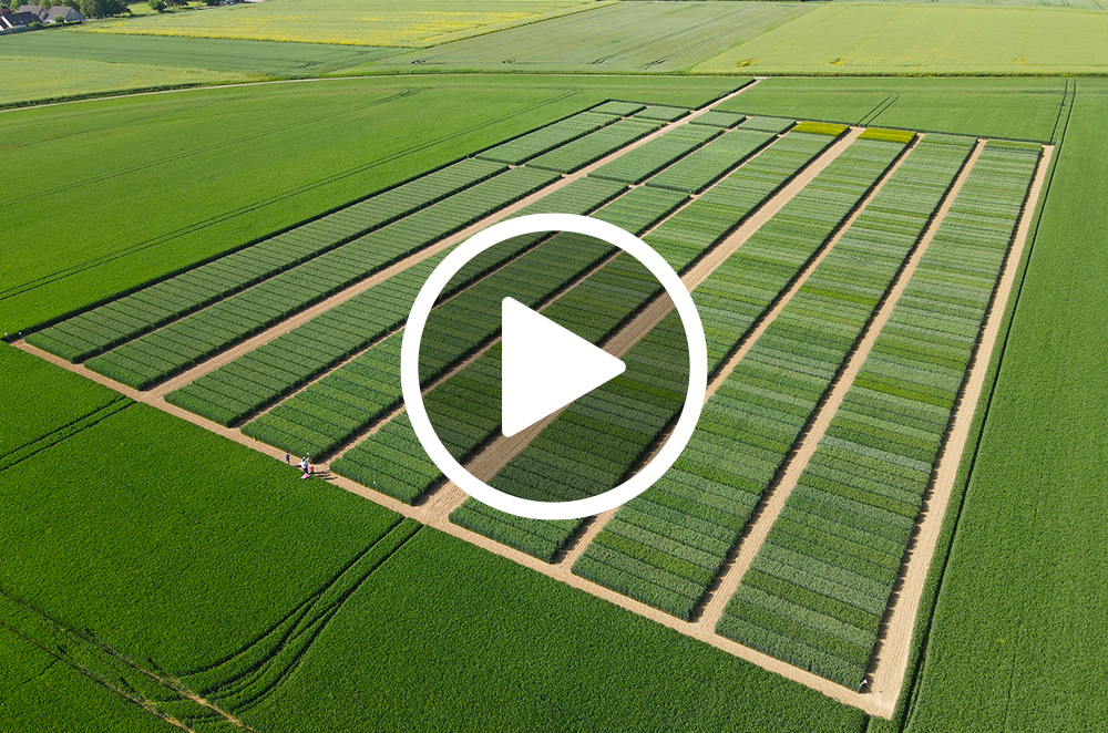 Agricampus 2021