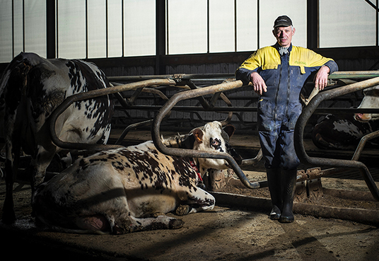 pole_agricole_alimentation-_animale