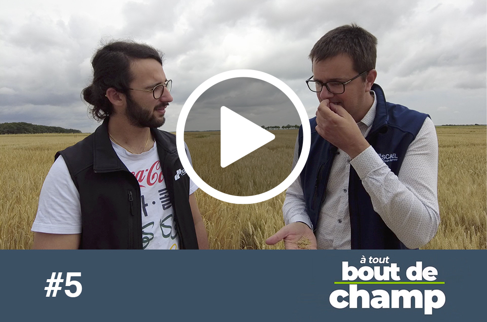 A tout bout de champ #5 Les essais