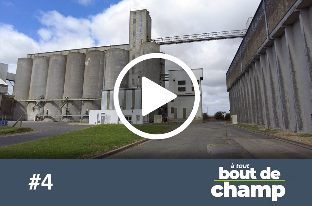 A tout bout de champ #4 Préparation des silos
