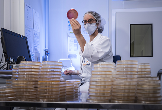 pole_laboratoires_services_microsept_microbiologie