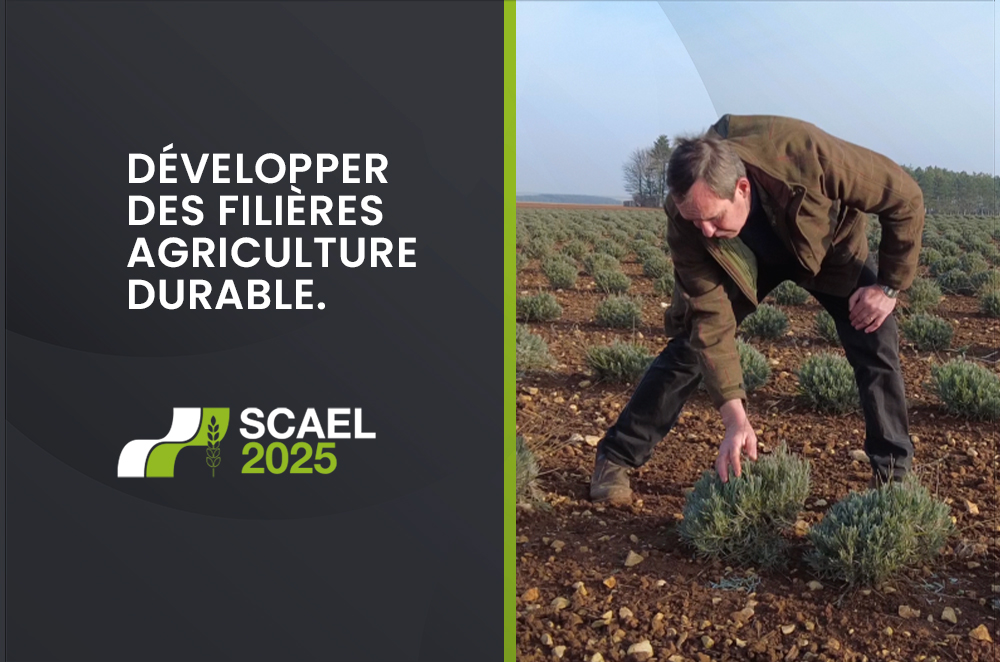 Développer des filières agriculture durable