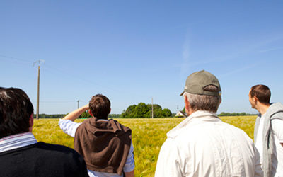 Pool Agri, échanges et expérimentations pour une agriculture innovante