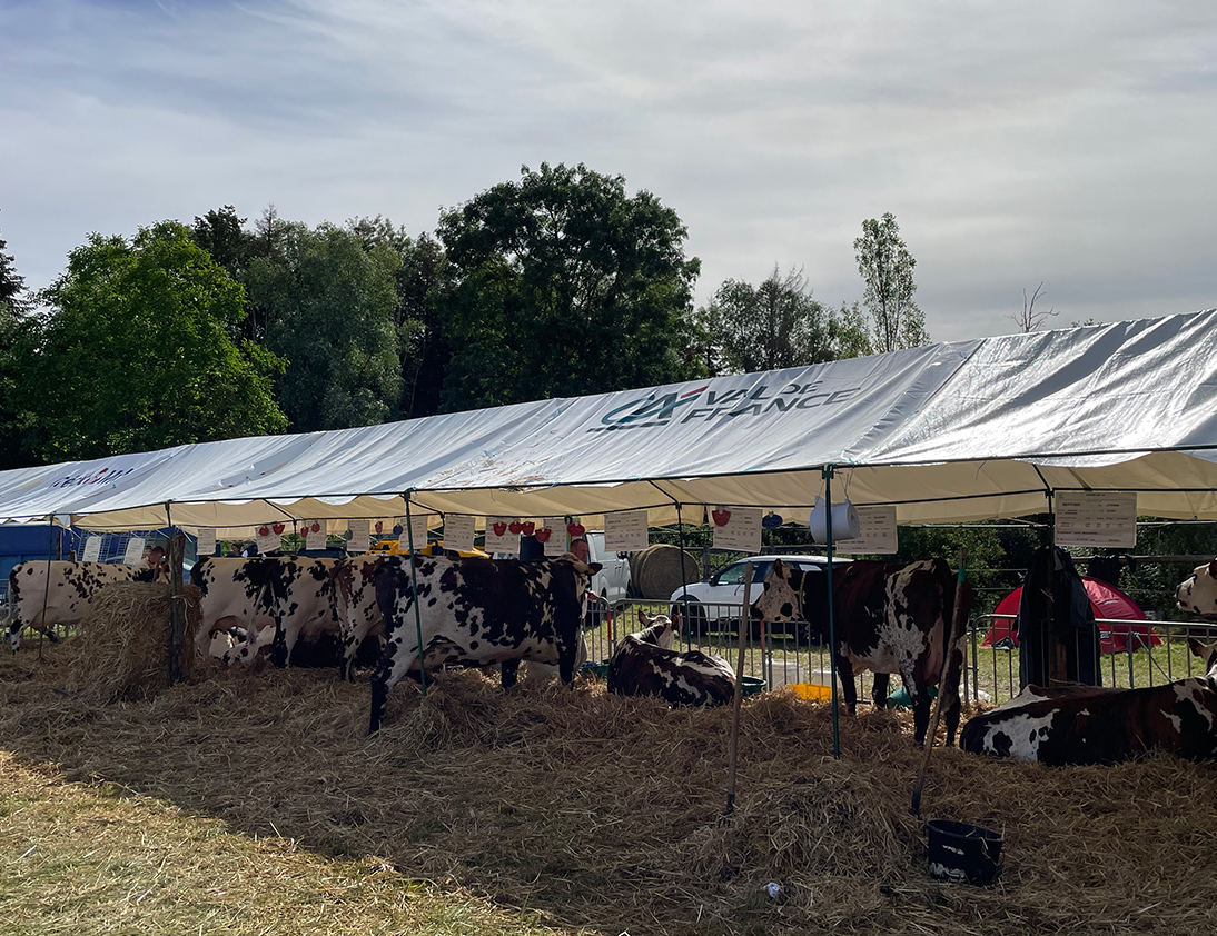 comice_agricole_2022_1