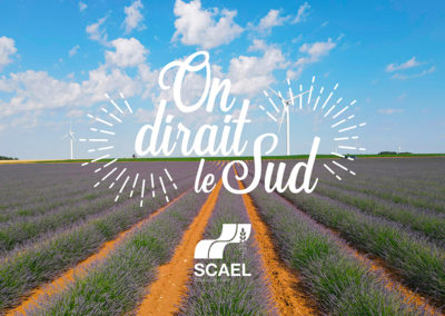 LES TERRES DE JIM EDITION 2022, ON VOUS ATTEND NOMBREUX SOUS LES PARASOLS SCAEL !