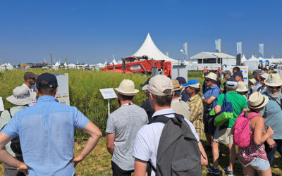 L’AGRICAMPUS AUX CULTURALES