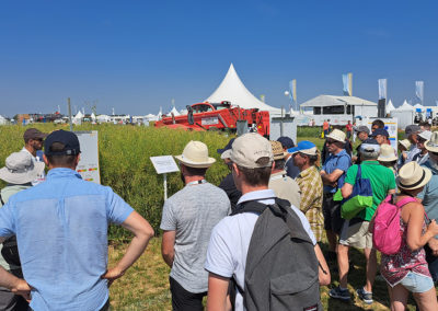 L’AGRICAMPUS AUX CULTURALES