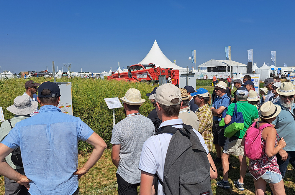 L’AGRICAMPUS AUX CULTURALES