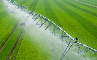 L’IRRIGATION AGRICOLE : UN CADRE REGLEMENTAIRE QUI EVOLUE POUR UNE GESTION RESPONSABLE DE L’EAU