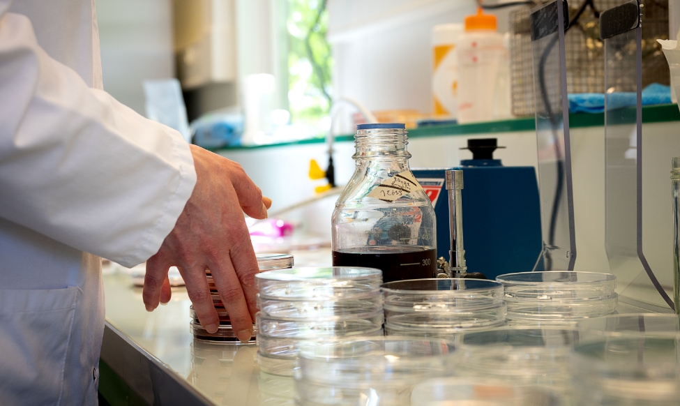 Groupe SCAEL - Pôle Laboratoires et services Laborantine du laboratoire Microsept, réalisant des analyses sur-mesure en matière de microbiologie alimentaire et de sécurité sanitaire
