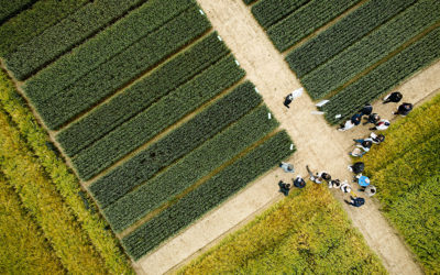 AGRICAMPUS 2025 : INNOVATION, TECHNICITE ET CONVIVIALITE AU CŒUR DES TERRES PROUSTIENNES