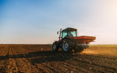 PHOSPHORE ET POTASSE : UN LEVIER DE PRODUCTIVITÉ STRATÉGIQUE A GÉRER AVEC DISCERNEMENT