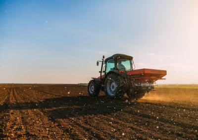 PHOSPHORE ET POTASSE : UN LEVIER DE PRODUCTIVITÉ STRATÉGIQUE A GÉRER AVEC DISCERNEMENT