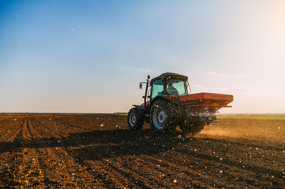 PHOSPHORE ET POTASSE : UN LEVIER DE PRODUCTIVITÉ STRATÉGIQUE A GÉRER AVEC DISCERNEMENT
