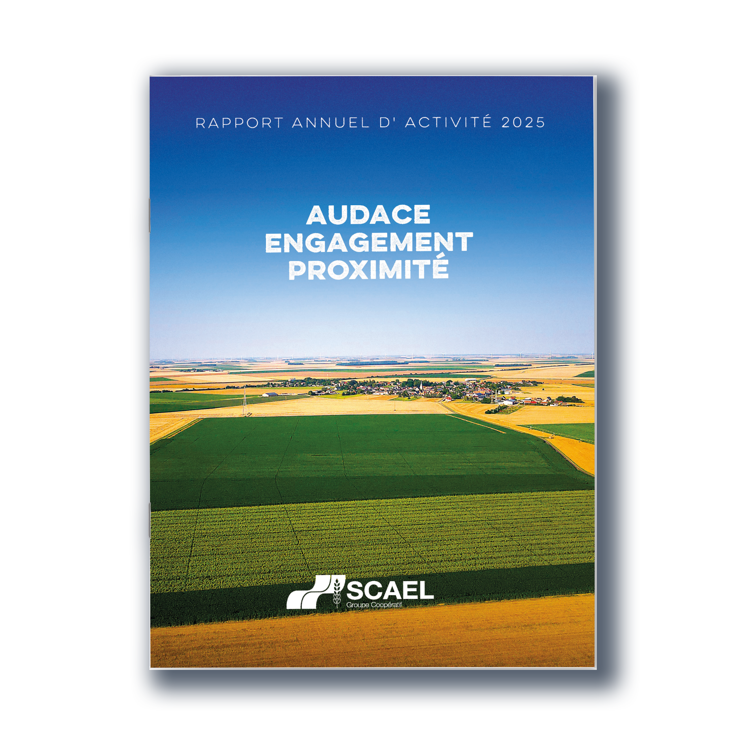 rapport annuel scael 