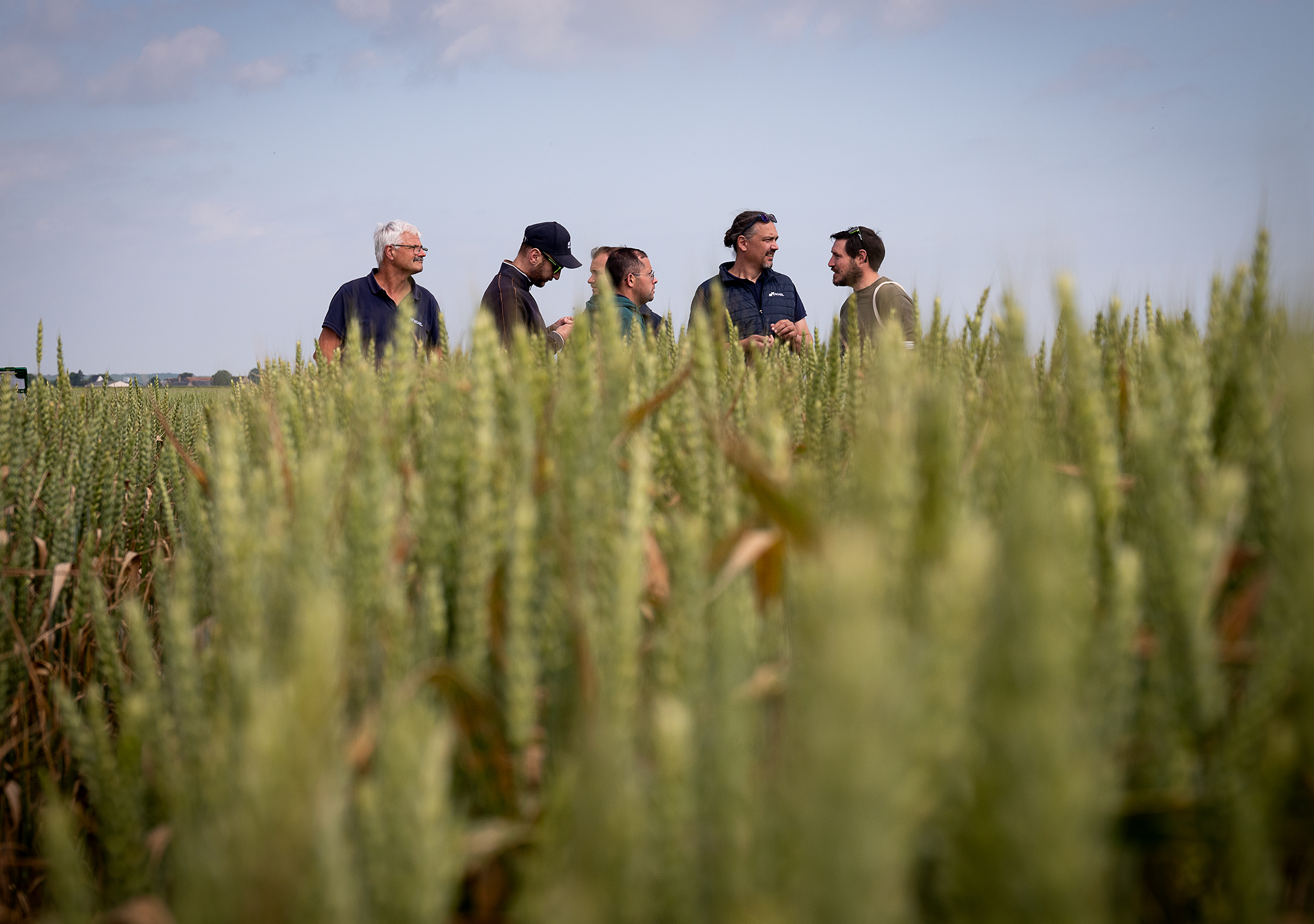 Silo en pleine moisson