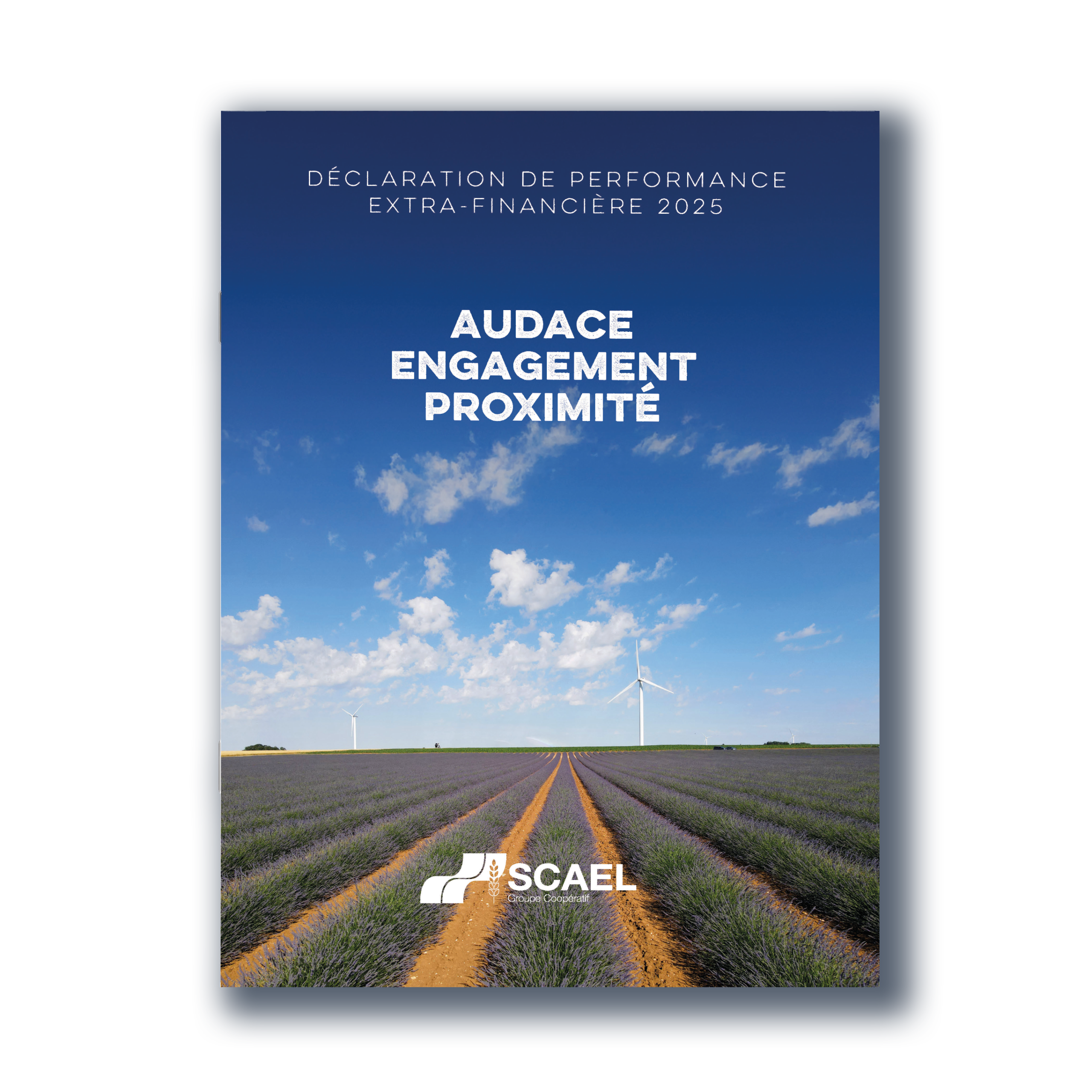 rapport annuel scael 