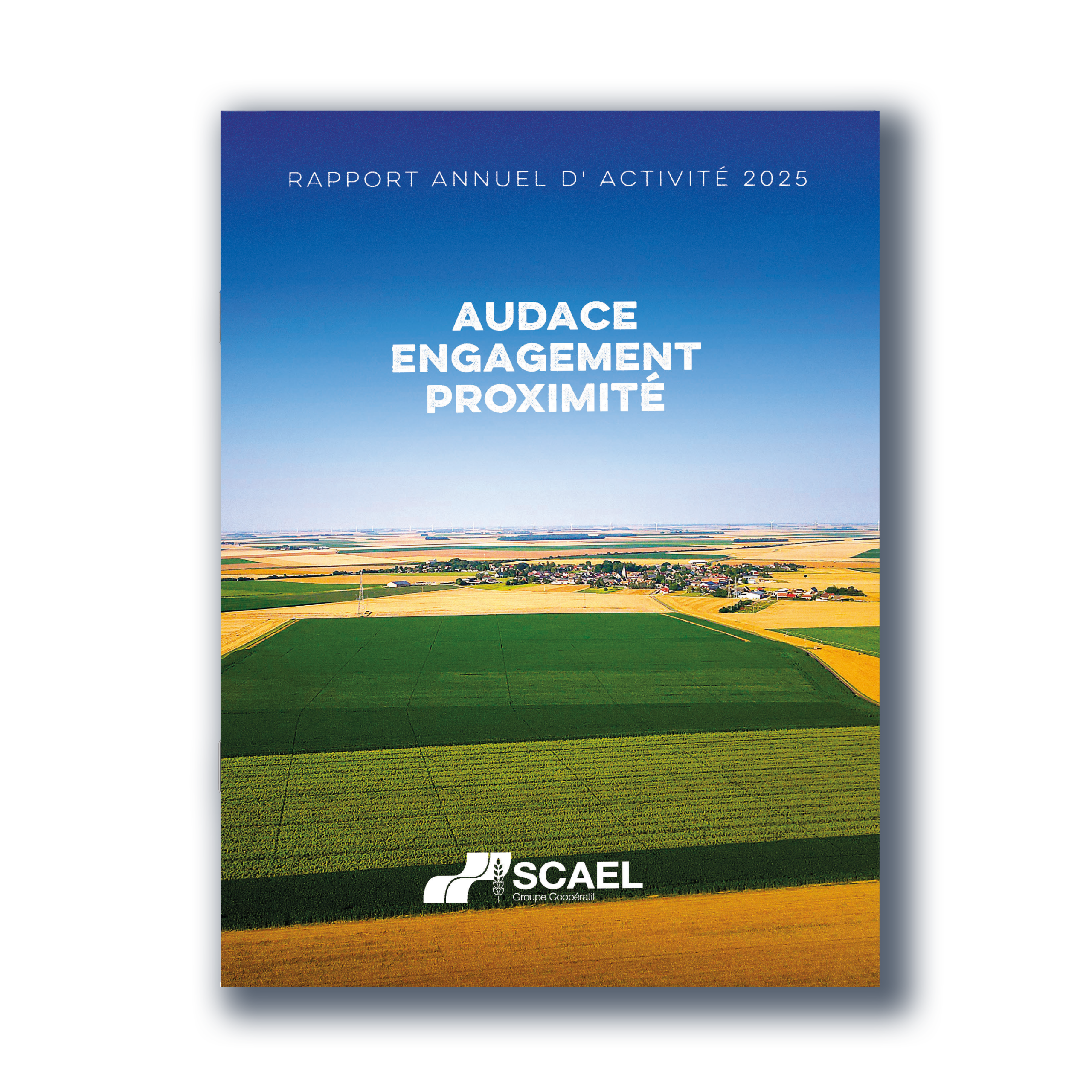 rapport annuel scael 