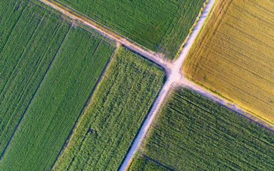 Registre phytosanitaire numérique