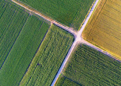 Registre phytosanitaire numérique