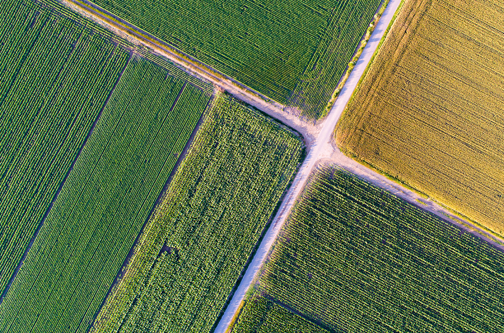 Registre phytosanitaire numérique