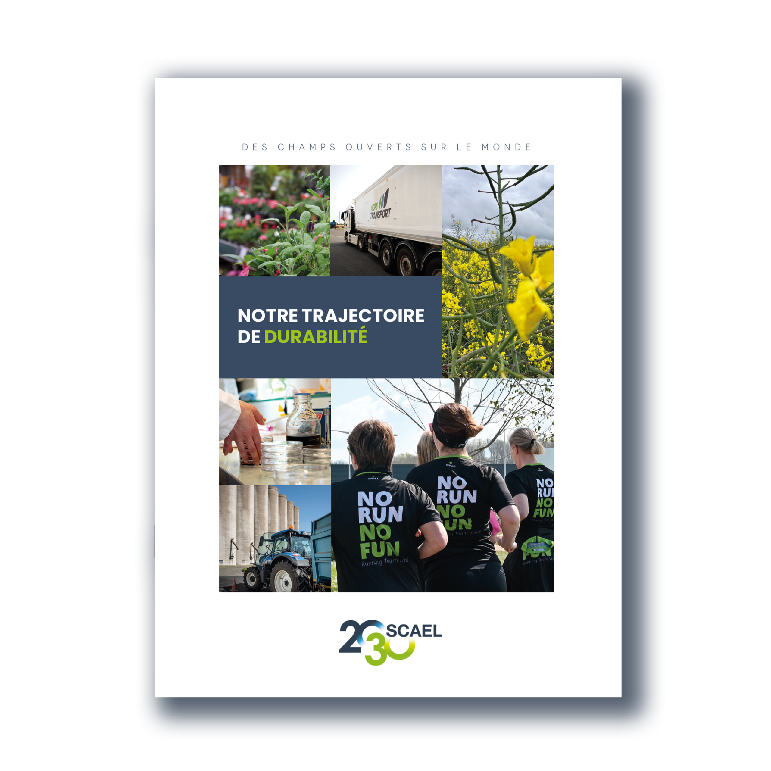 rapport annuel scael 