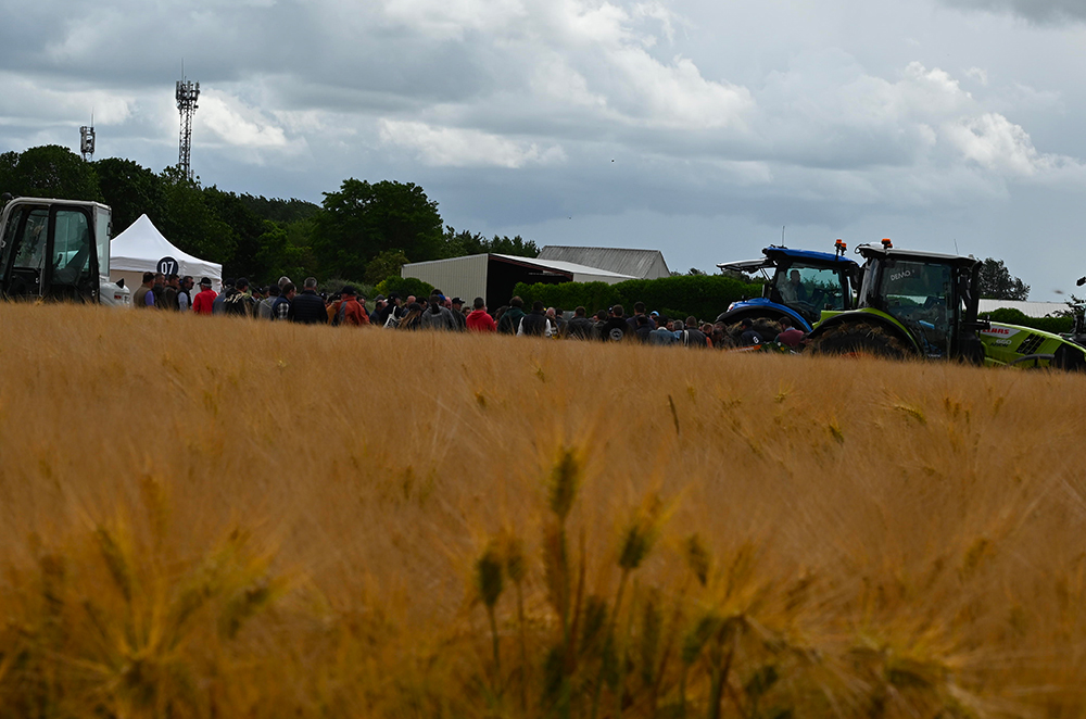 AGRICAMPUS 2026