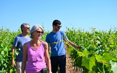 ÉDOUARD MINIER, AGRICULTEUR A SAINT-ESCOBILLE